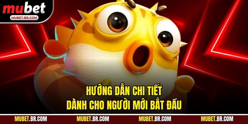 Hướng dẫn chi tiết dành cho người mới bắt đầu