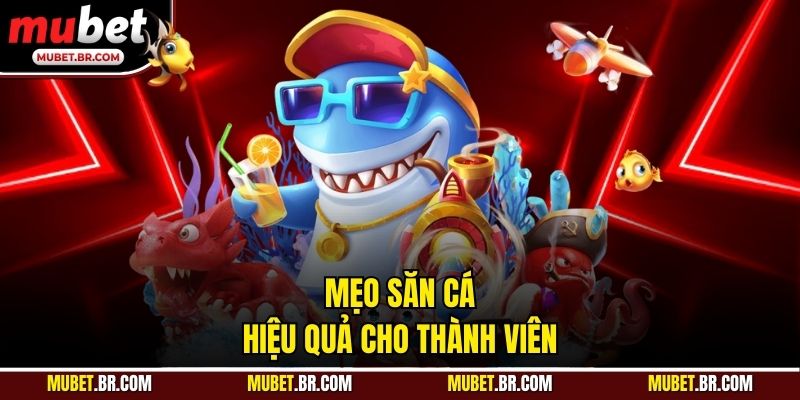 Mẹo săn cá hiệu quả cho thành viên